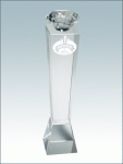 PS1287-оптическое стекло художественной формы (Подарок)