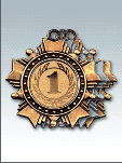 MK38-медаль под вкладыш диам.25 мм