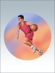 Вкладыш с полноцветной печатью. баскетбол