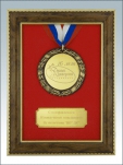 PL262-плакетка в багете с медалью на ленте и металлическим шильдом